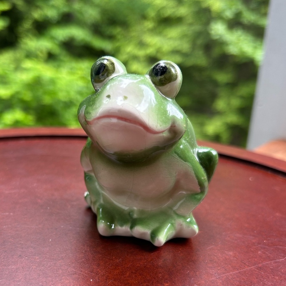 Hand-Painted Frog Salt Shaker Figurine 🐸